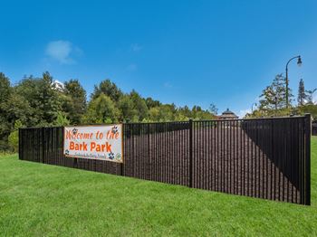 Dog park